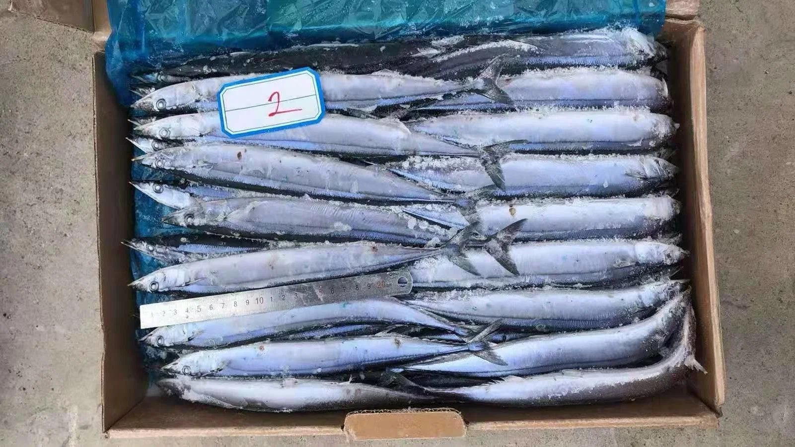 All Size Good Quality Seafood Bqf Fresh Fish Frozen Pacific Saury