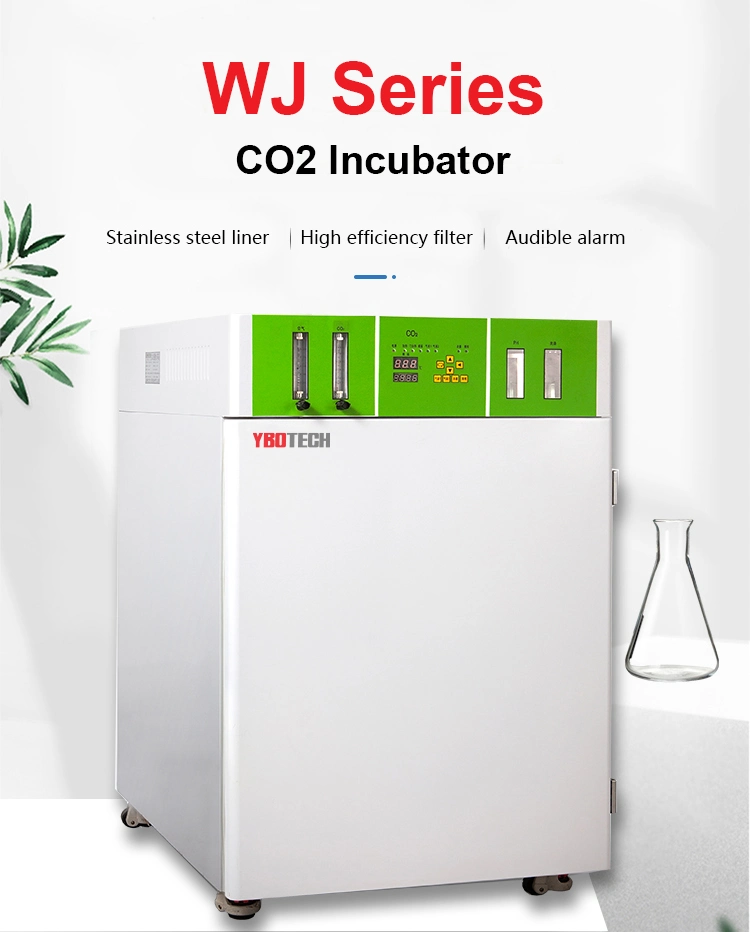 Laboratory CO2 Incubator LED Display for University, Research Use