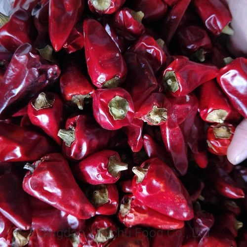 Food Grade Factory Direct Supply Beijing Red Chilli