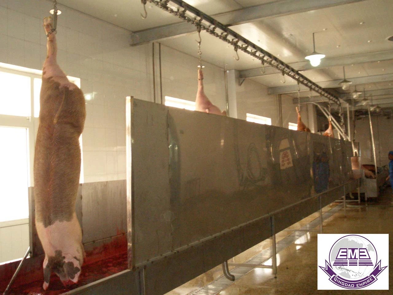 Depósito de recogida de sangre de cerdo el sacrificio de la máquina para el equipo de mataderos mataderos de ganado