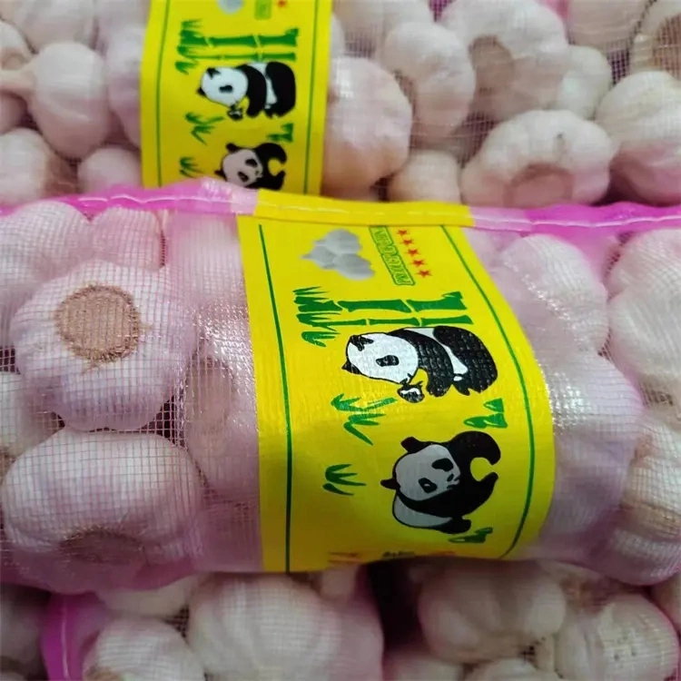 Chinese 2023 Fresh New Garlic Wholesale/Supplier Garlic in Bulk for Export in Low Price