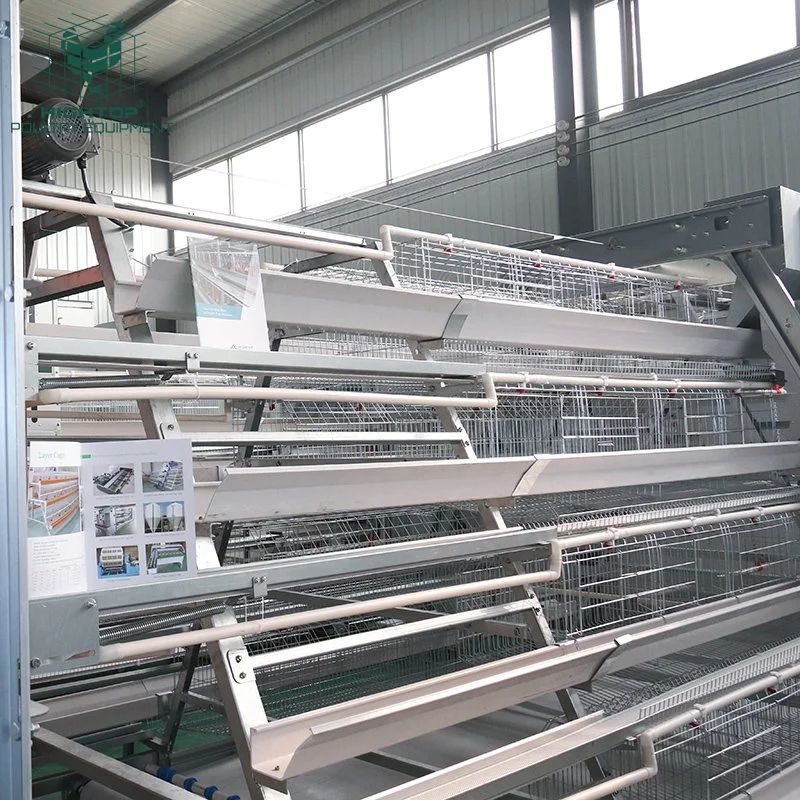 A Type Automatic Layer Egg Chicken Cages Poultry Farming Equipment System For Sale