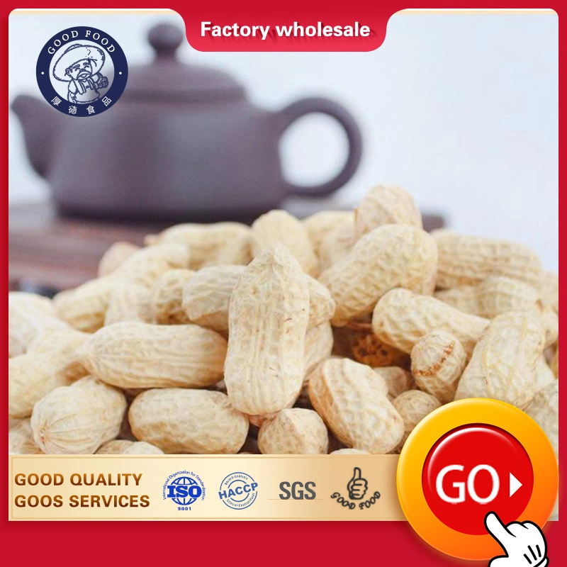 Natural Chinese Original Flavor Salted Taste Roasted Peanuts in Shell