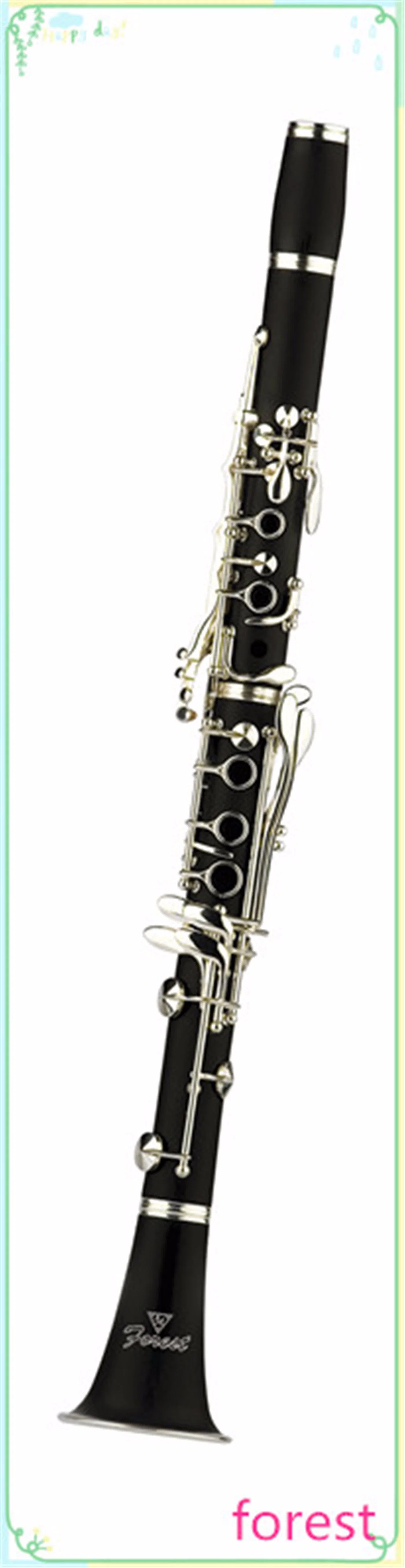 Very Good Beginner Student Clarinet Forest Manufacturer