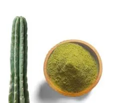 Factory Wholesale Cactus Powder Caralluma Fimbriata Extract Bulk Price