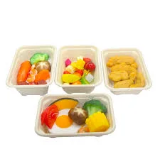 Food Packaging Compostable Take Away Sugar Cane Bagasse Pulp Food Container