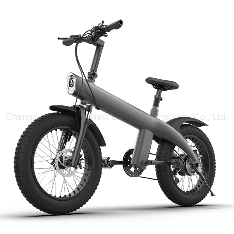 2023 Nuevo Dirt Bike eléctrico eléctrico de velocidad variable de 20 pulgadas plegable bicicleta eléctrica de 750W bicicletas de montaña