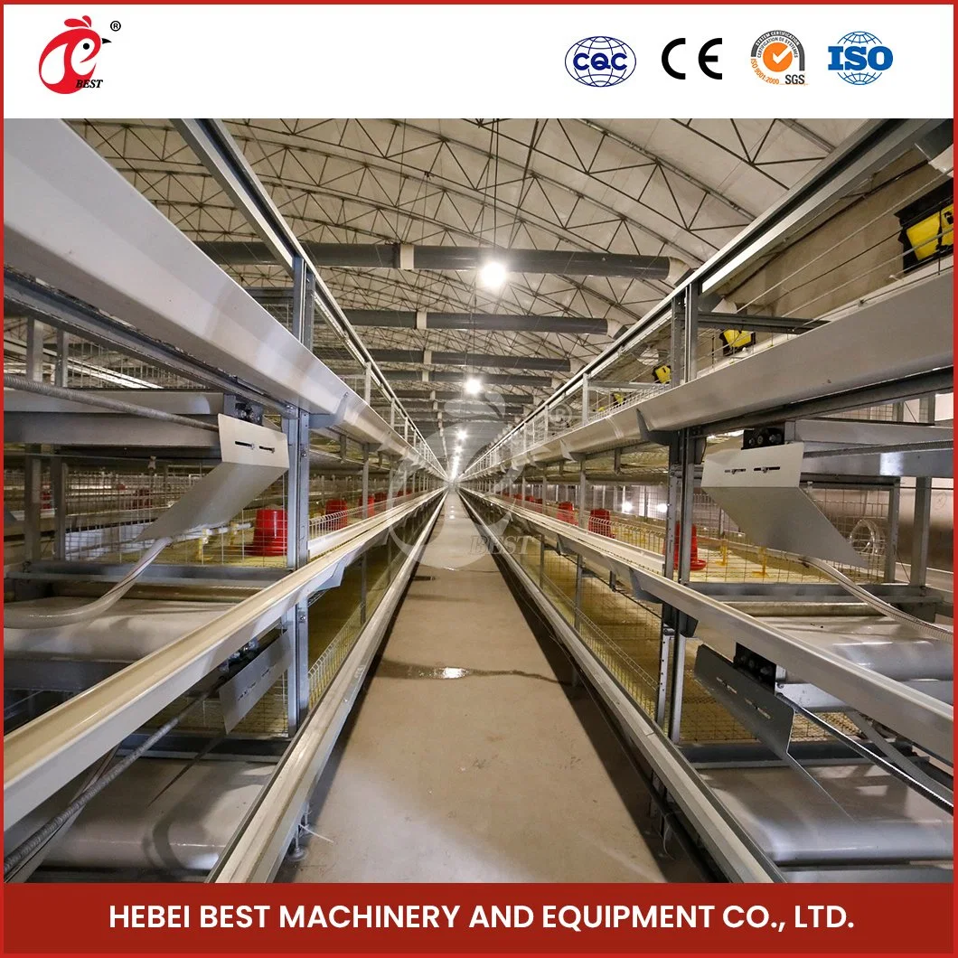 Bestchickencage China Plastic Hen House Factory H Frame Automatic Boriler Cages Sample Available Applicable Restaurant Cock Chicken Cage