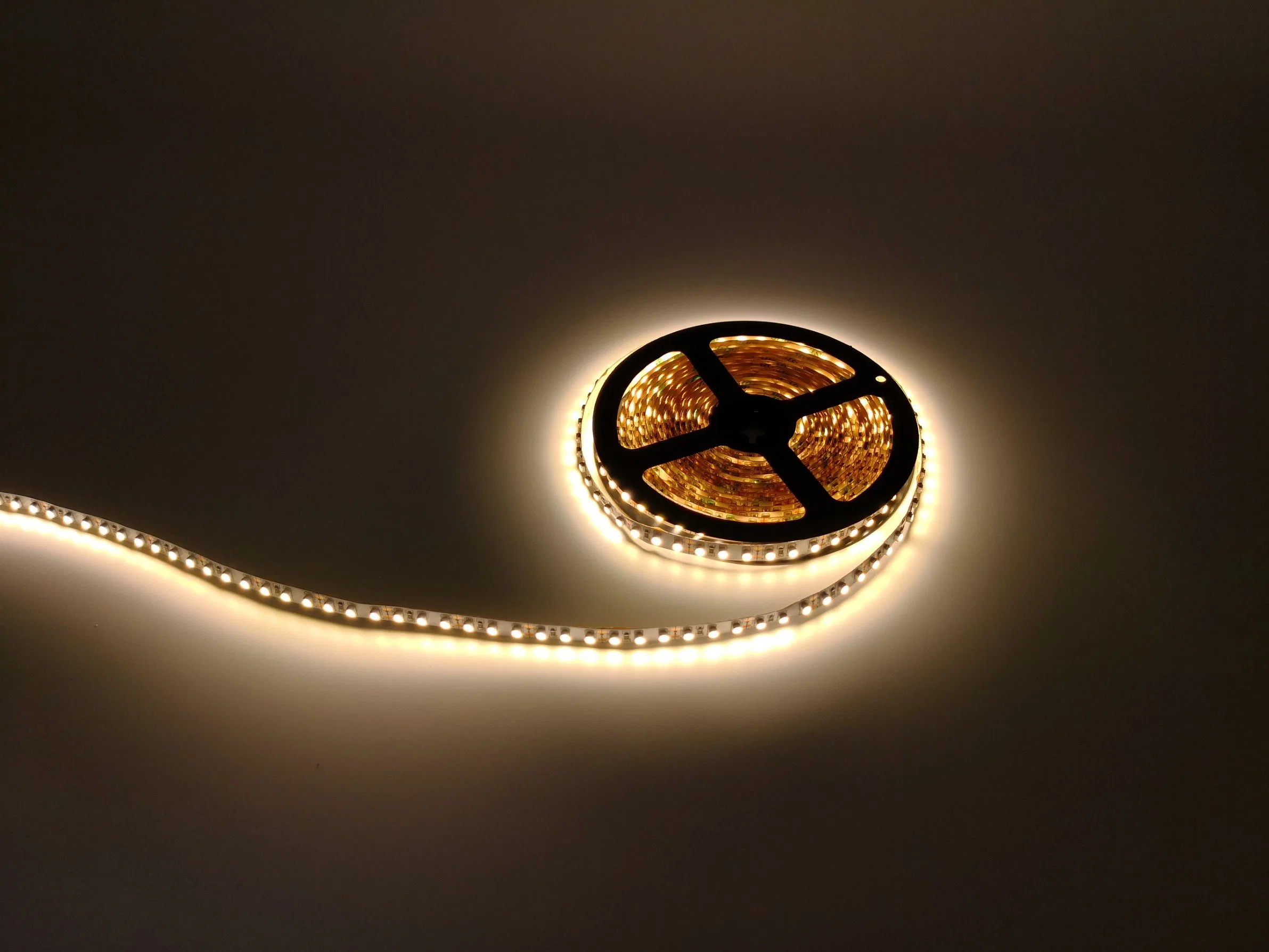 Holiday light Smart DC24V 12V Indoor 120leds/m SMD 3528 Flexible Led Strip Light