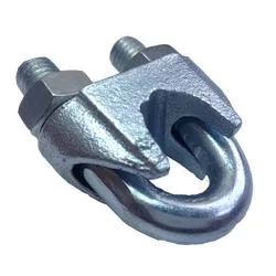 DIN741 Stainless Steel 304 316 Wire Rope Clip