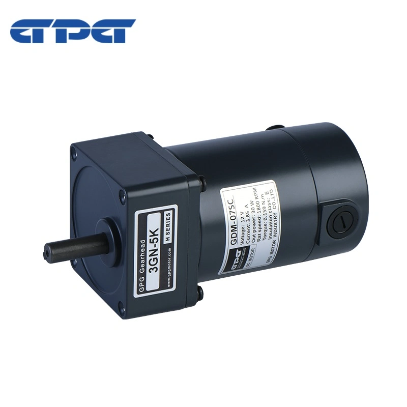 Gdm69/102-25-12-18s07A DC Gear Motor 70mm 25W 12V