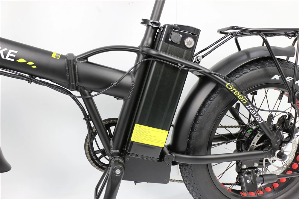 Wholesale/Supplier Ebike Foldable Fat Tire Electric Mountain Bike 2 Seat Electric Bike 48V 500W 750W Electric Bike