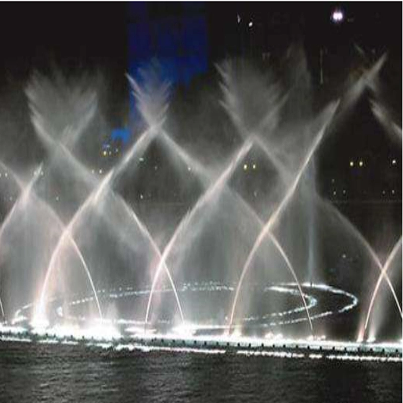 Free Design Outdoor Park Decorative 2D Dancing Water Fountain