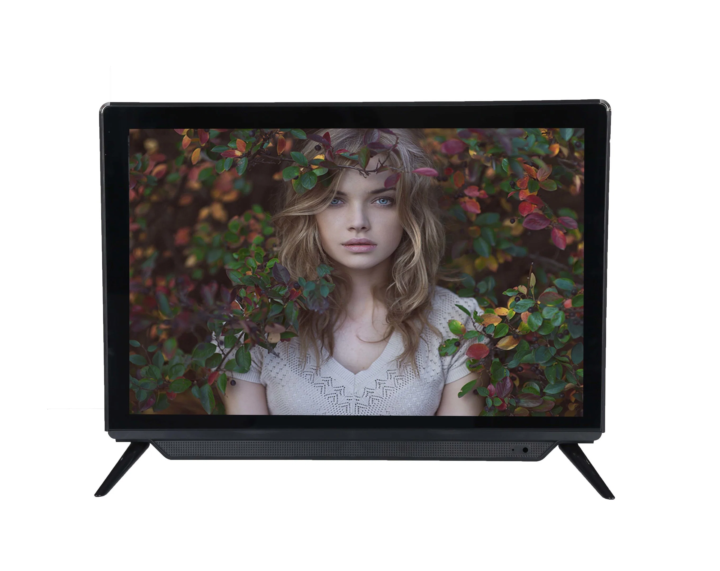 Top Level OEM Full HD Television 24 22 21.5 20 19 18 17 15.6 15 Inch China LCD TV Price