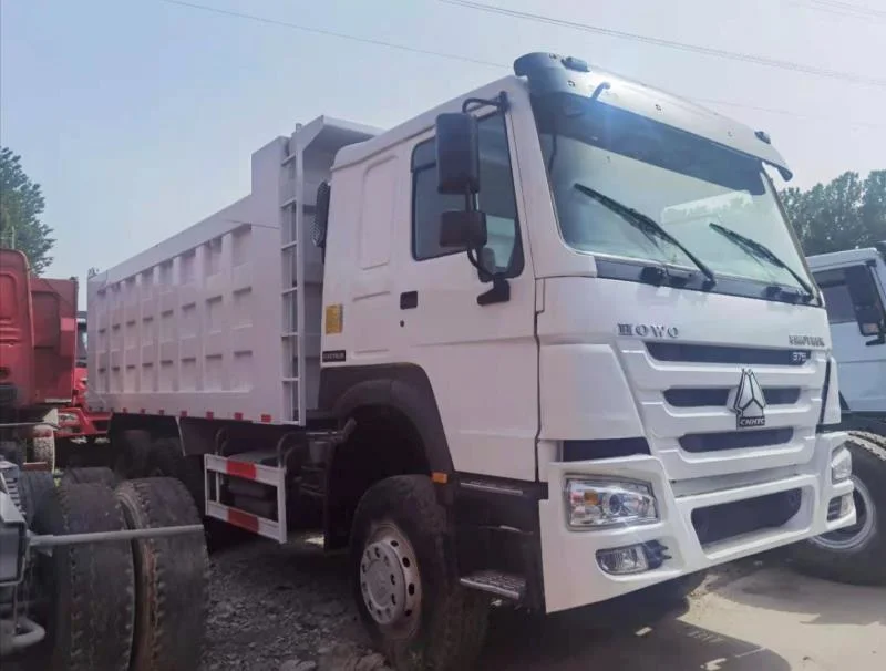 Sinotrukhowo 6*4 Caminhão Basculante 10 Rodas Heavy Caminhão Basculante Transporte de Engenharia