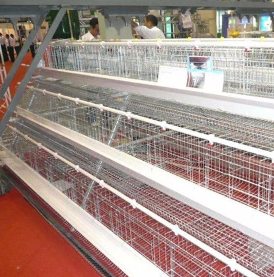 Husbanfry Animal Poultry Farm Chicken Equipment/Livestock Machinery/Equipment/Hot Galvanized Automatic Chicken Farm Poultry Cage /Battery Layer Cages for Farm
