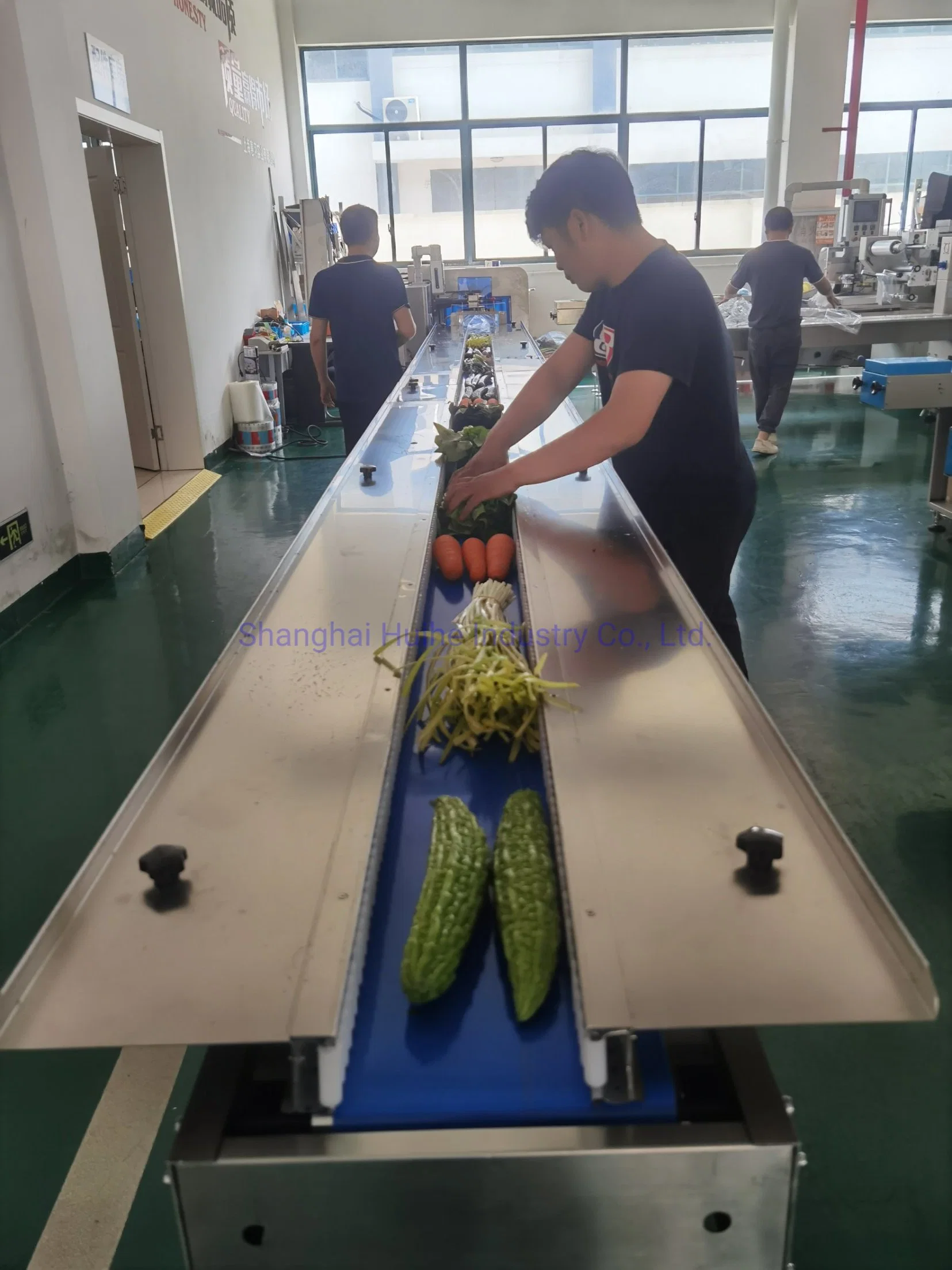 Lettuce Packing Machine/Vegetable Packing Machine/Carrot Packing Machine/Onion Packing Machine/Fruit Packing Machine