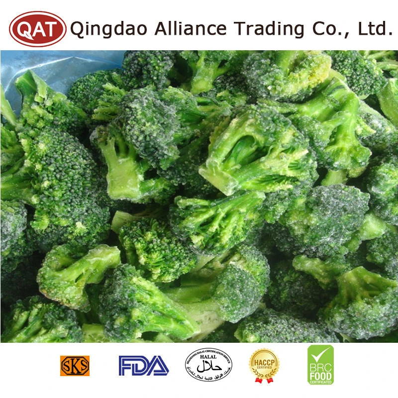 China Bio Frozen gehackte Broccoli Gemüse IQF Crop Green Broccoli Schnitt für Foodservice Großhändler