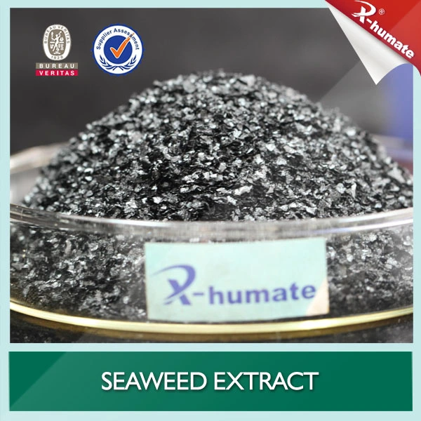 100% Natural Plant Growth Promoter Seaweed Extract