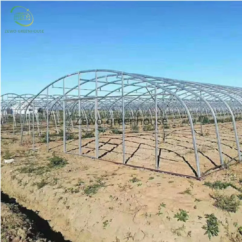 Industrial Greenhouse Pipe Agricultural Single Span Tunnel Film Polycarbonate Greenhouse