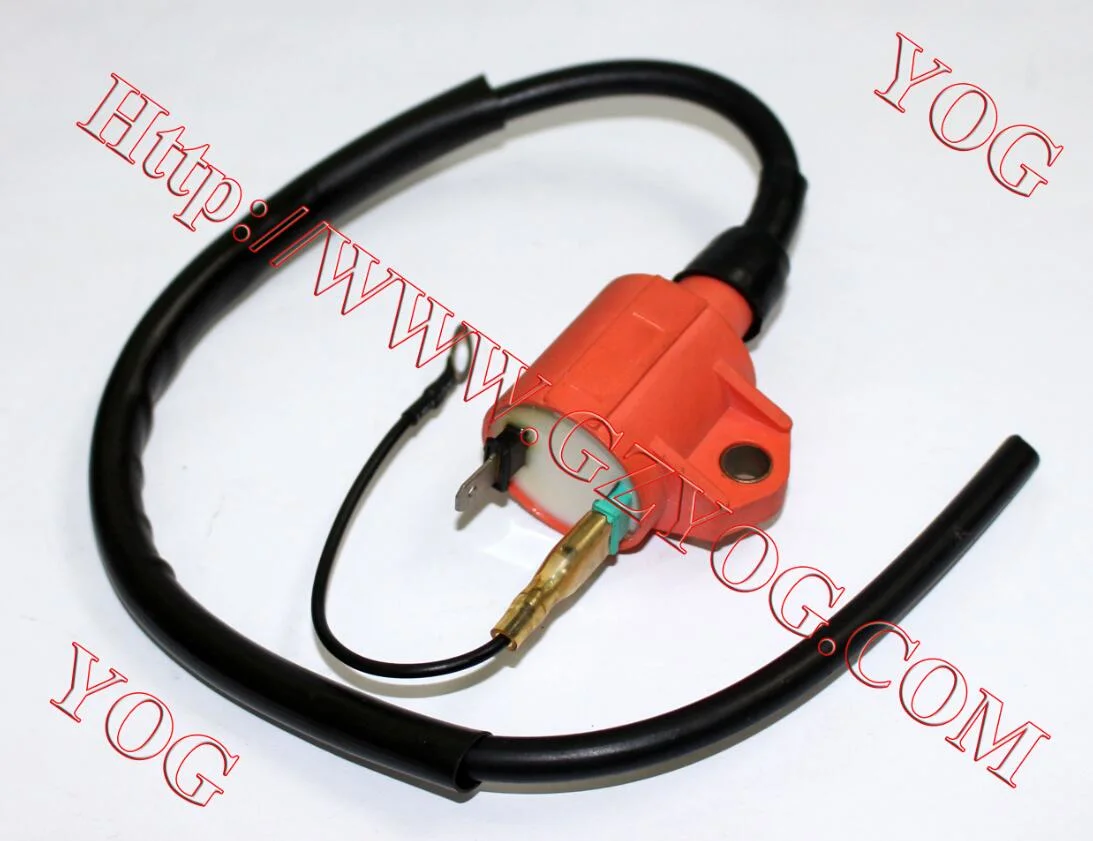 Motorcycle Parts Ignition Coil for 125cc