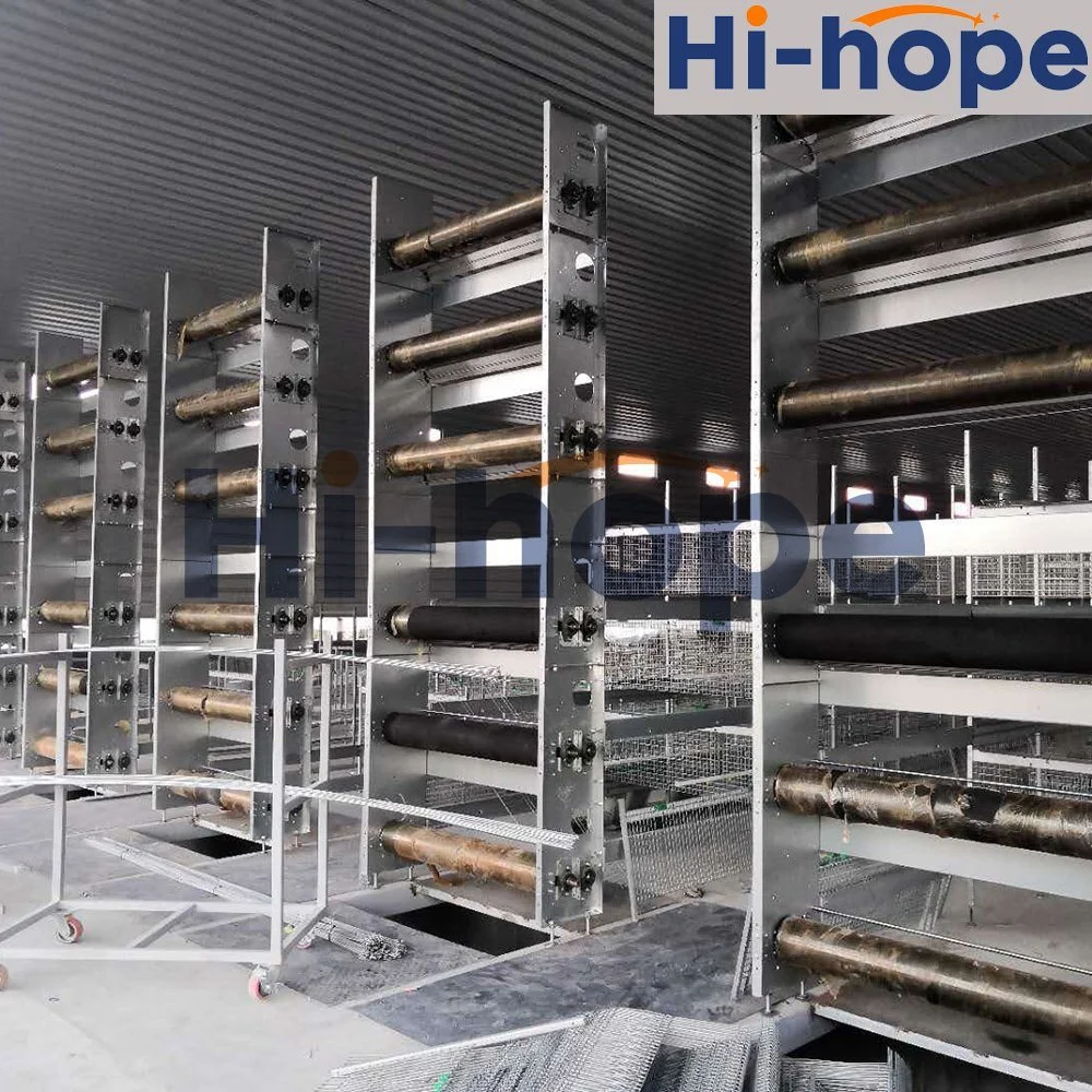 Modern Poultry Farm Automatic Broiler Layer Cage Equipment