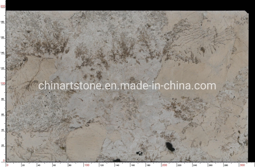 Nature Marble Granite Quartzite Stone Slab for Guestroom Wall