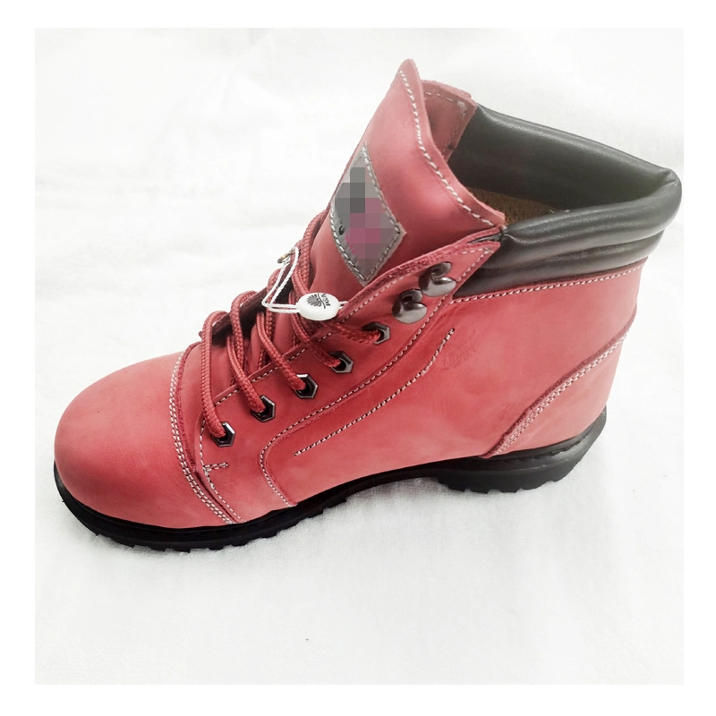 Wholesale/Supplier Shoes for Work Shoes Work Men Sport Safety Shoes