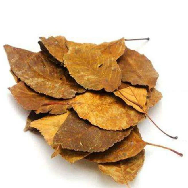 Shan Zha Ye Crataegi Folium Wild Natural Herb Chinese Hawthorn Leaf