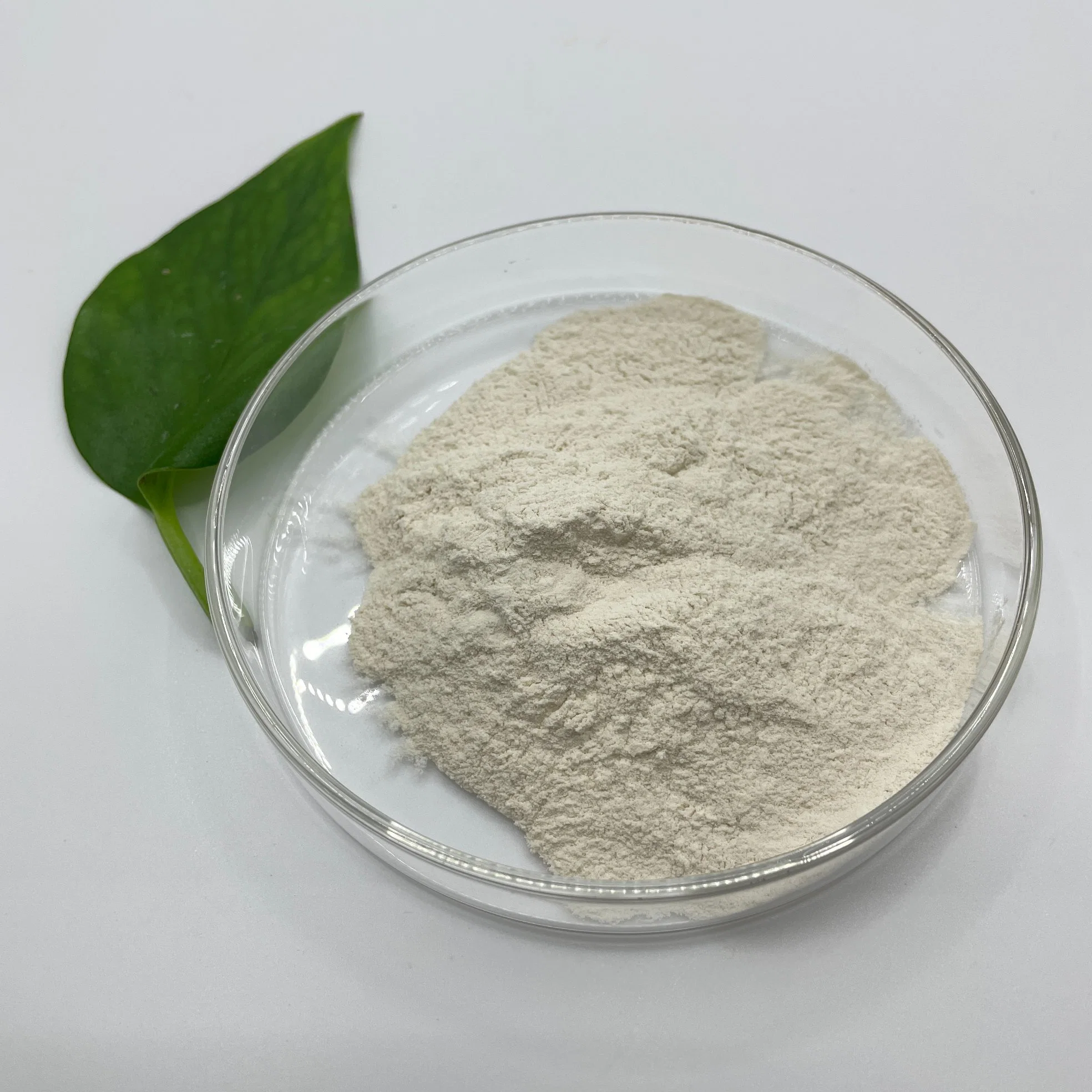 High Purity Pharmaceutical Intermediate L-Isoleucine for Dairy Cattle