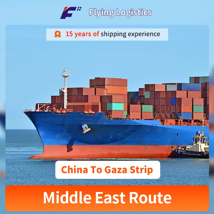 Professional Logistics Service From China Sea Freight Forwarder to Gaza Strip Sea Freight Forwarder