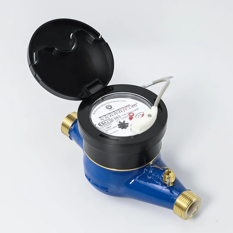 Multi Jet Vane Wheel Iron Water Meter (MULTI-G2-5+4)