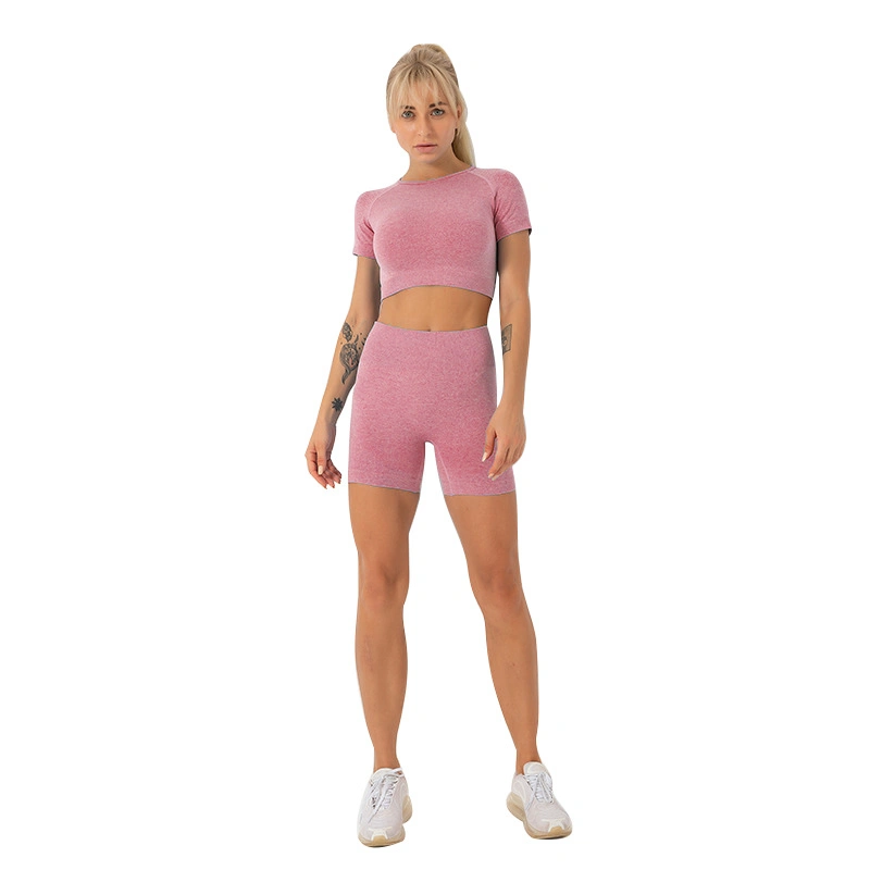 Mayorista Nuevo Quick-Drying sin costuras Activewear Fitness Suit mujeres de manga corta Fitness Desgaste