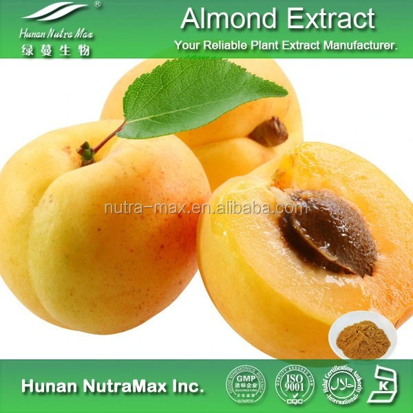 Extrait de semence d'abricot amer en poudre d'amygdaline à 98 % de haute qualité