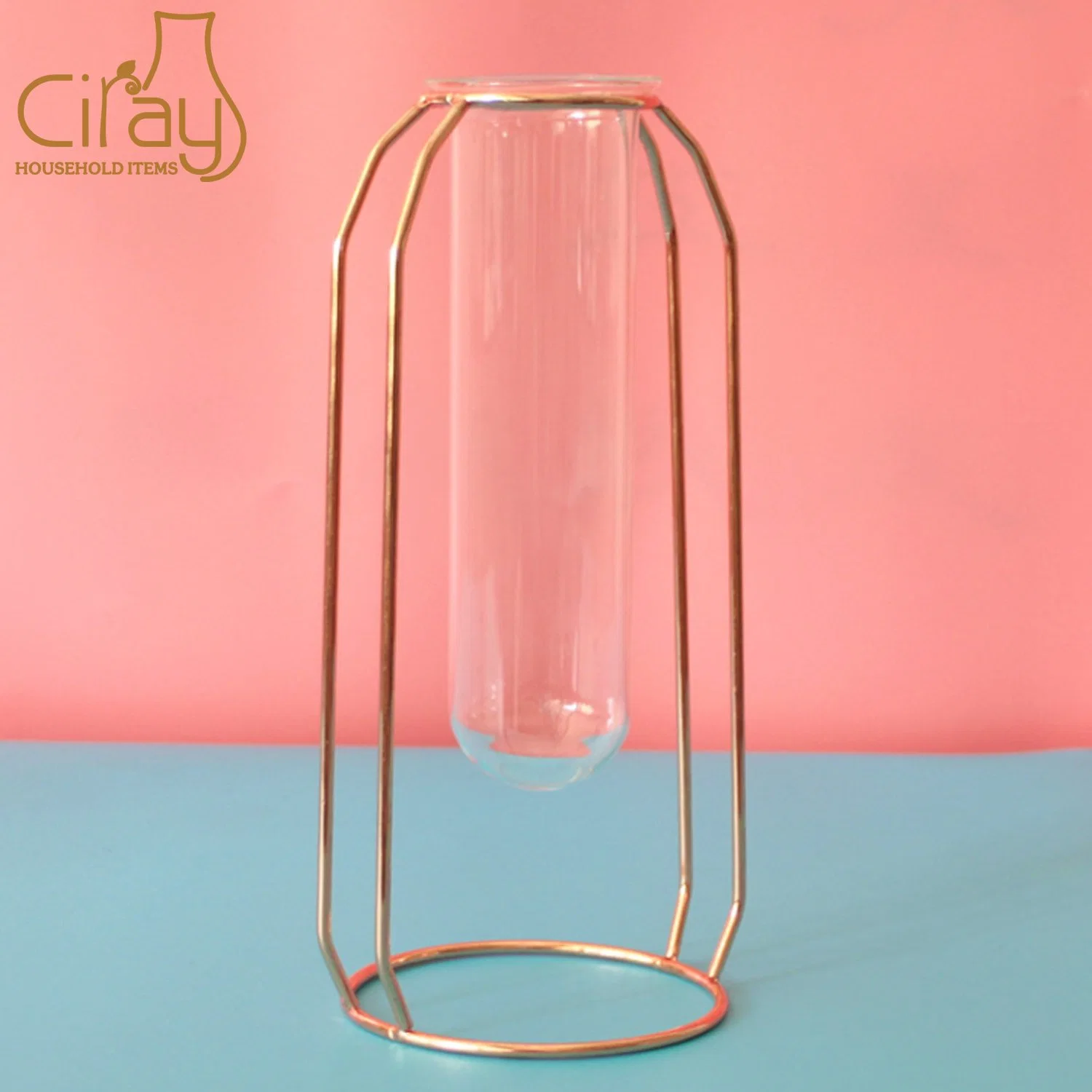 Creative Glass Tube Flower Vase with Golden Metal Stand