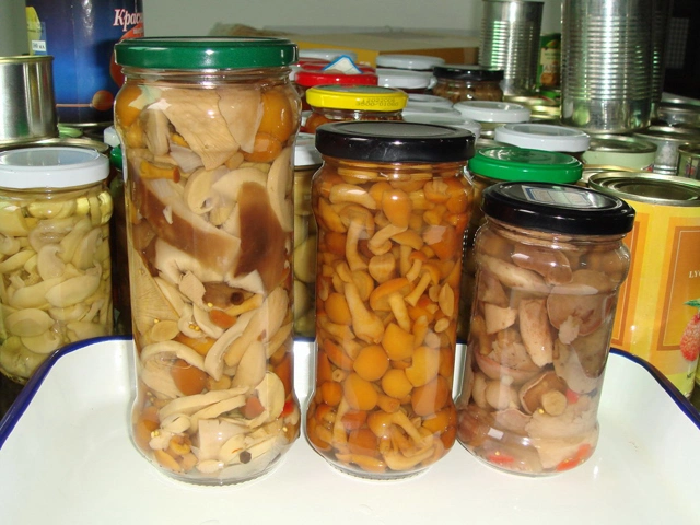 Canned Suillus Mushroom Selling for Catering and Supermarket