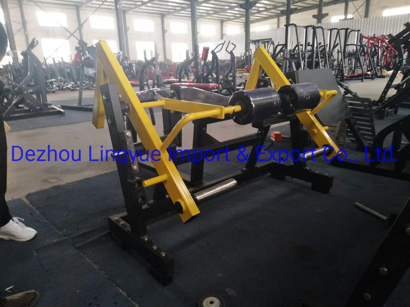 Hammer Strength Fitness Equipment Bodybuilding Exercise Machine ISO-Lateral Leg Curl L-918