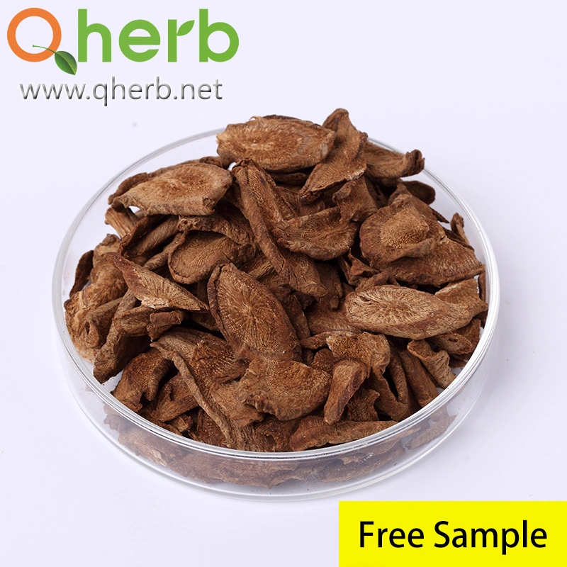 100% Natural Burdock Root Extract Powder Arctigenin 10%