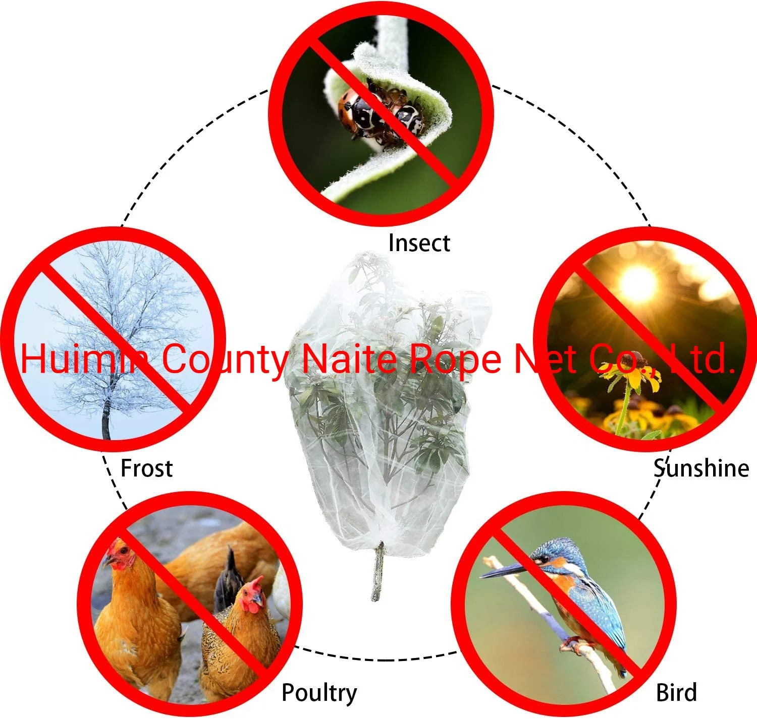 Insect Net Greenhouse Garden Nettings Fences Nets Fine Mesh Insect Mosquito Bird Net for Protecting Vegetables Flowers Fruits Trees Plants