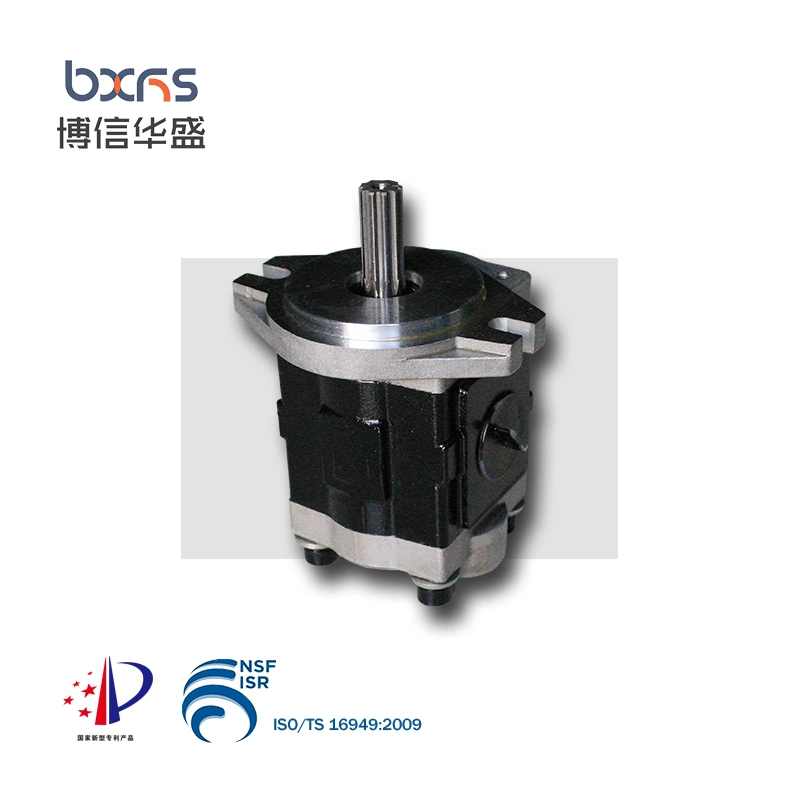 Cbhs-F20 Series Hydraulic Aluminum Gear Rotary Pump for Electric Forklift