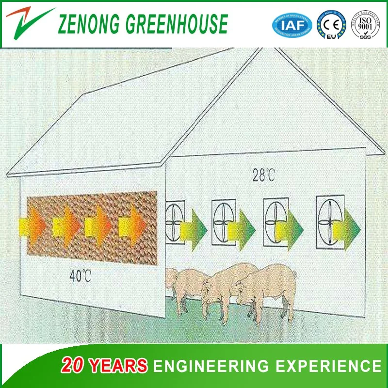 Professional Greenhouse Wet Curtain for Lower The Temperature in The Greenhouse/Poultry Farm