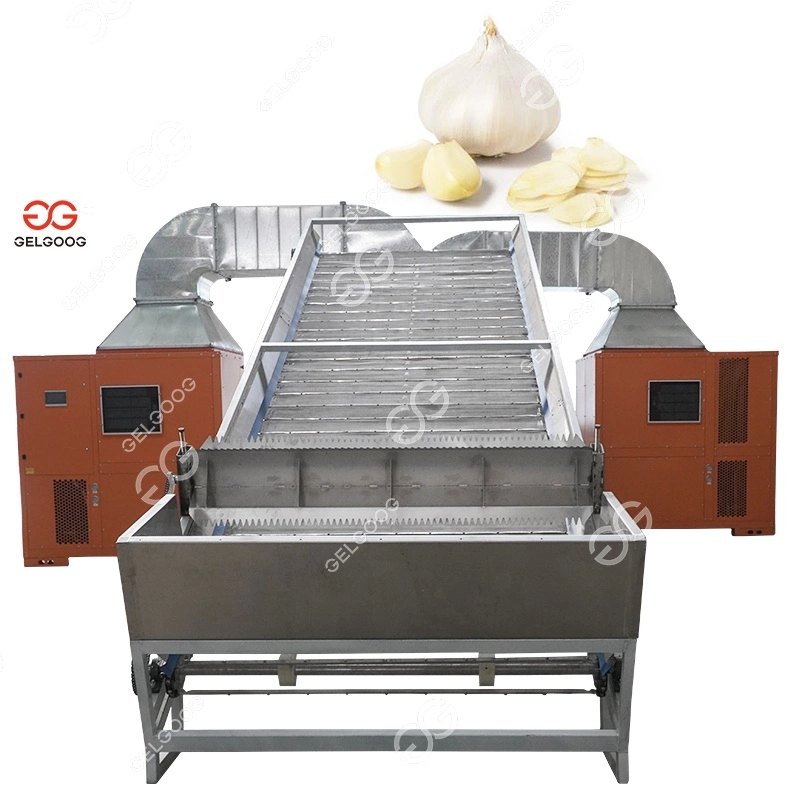 Gelgoog Dried Grape Raisin Continuous Belt Dryer Conveyor Drying Oven Equipment Belt Dehydrator Machine