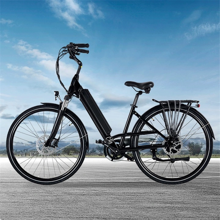 36V Electric Bike with CE Certificate En15194 Ebike for Europe