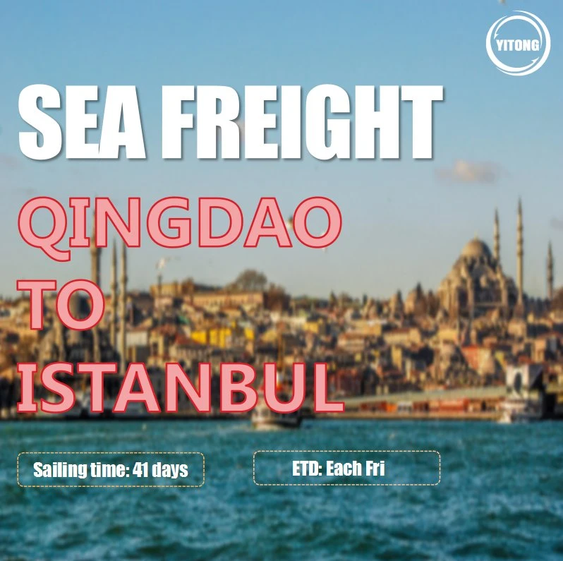 FCL LCL Shenzhen fret maritime à Istanbul Ambarli Turquie