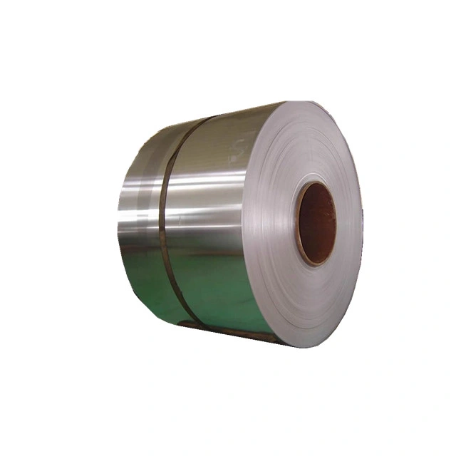 Top Quality Stainless Steel Coil/Strip on Sale