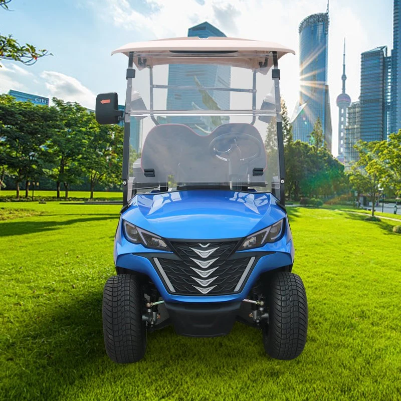 Design profissional personalizado Forge G2 Electric Golf Carts de 2 lugares Buggy do Golf