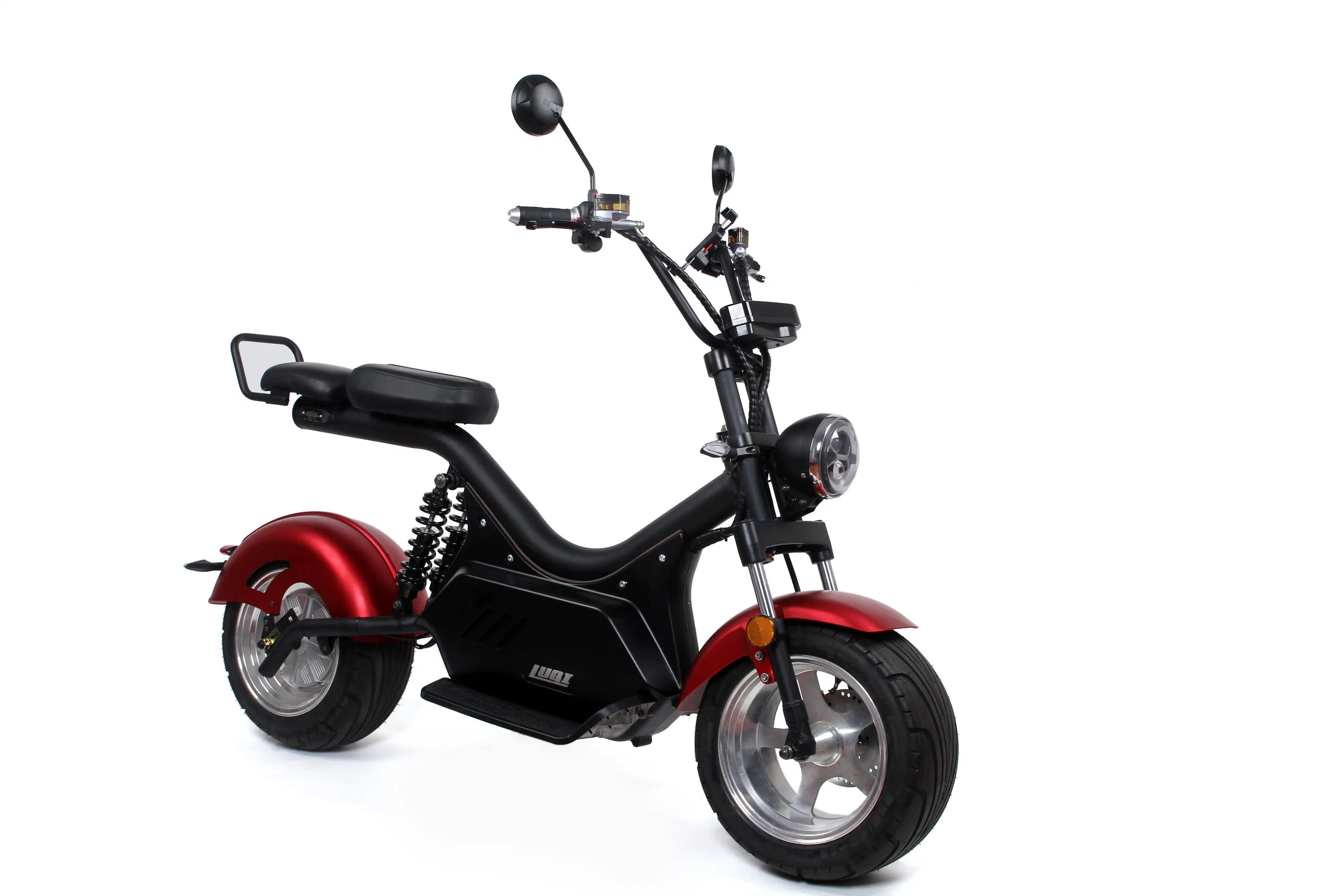 Heavy Load 2000W Motor Removable Battery Customized Balancing Electric Motorcycle