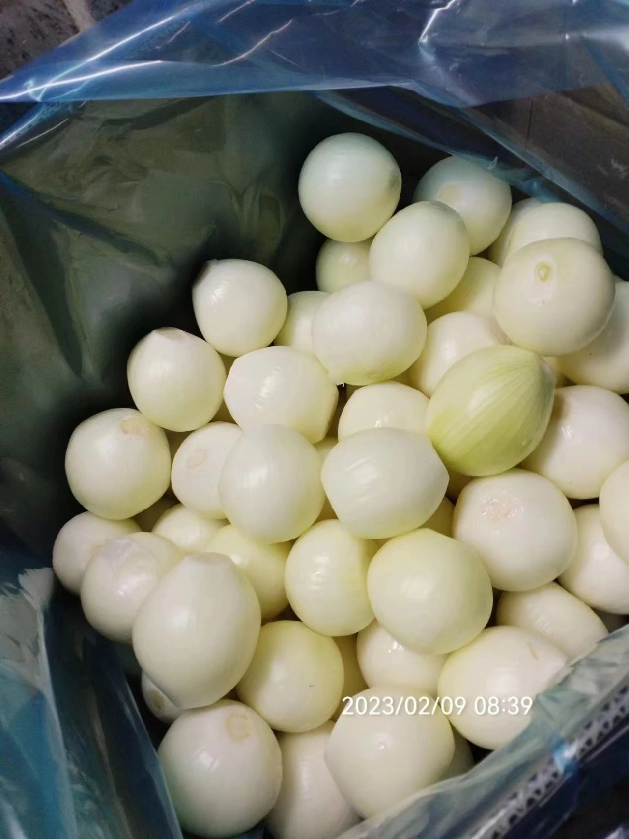 Frozen Food Frozen Peeled Onion Strips IQF White Slices/Dices/Chunk Onion for Exporting