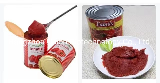 Seasong 210g*48tins/CTN Eo Canned Tomato Paste OEM Brand Pasta and Pizza Sauce