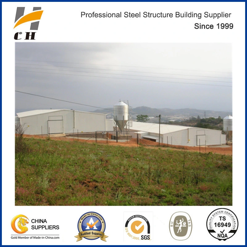 Factory Suppilers Prefab Light Steel Structure Broiler Layer Poultry Farm/Shed/House